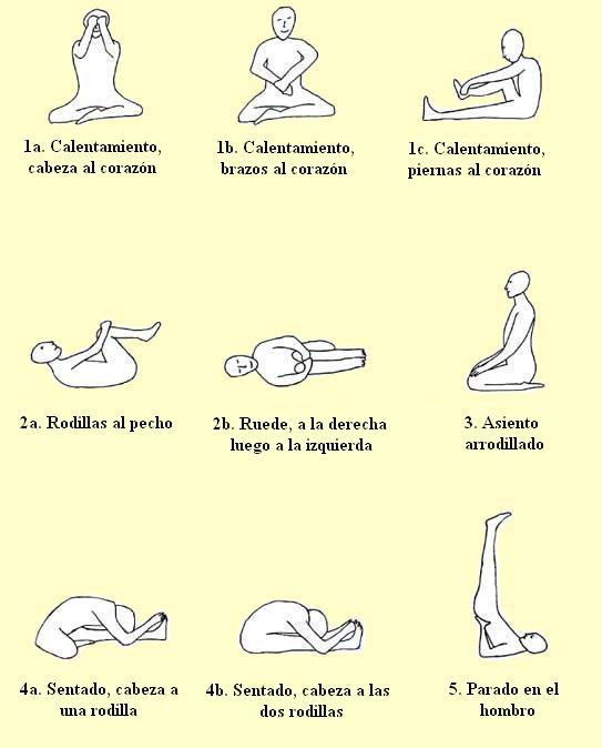 asana1a.jpg (24397 bytes)