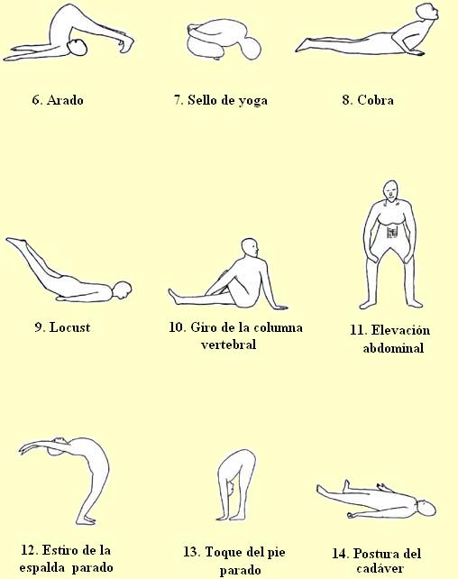 asana2a.jpg (20942 bytes)
